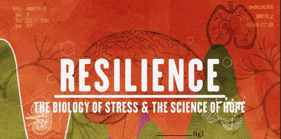 Resilience - The Biology of Stress and the Science of Hope
